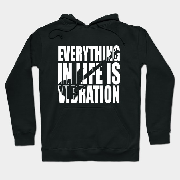 EVERYTHING IN LIFE IS VIBRATION funny bassist gift Hoodie by star trek fanart and more